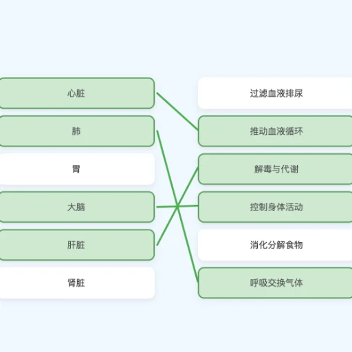 奇妙器官配对截图